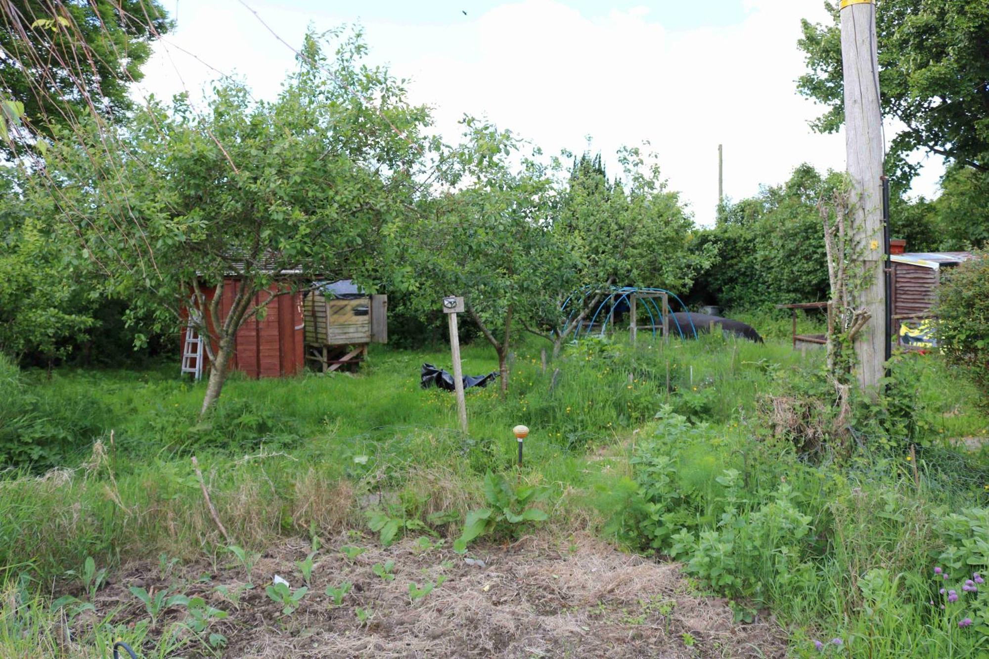 Holiday home Cottage, Ireland, Includes Continental Breakfast